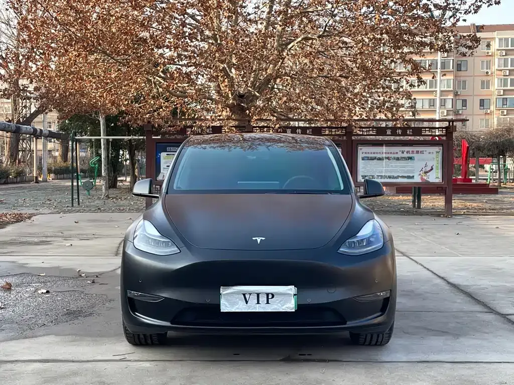 Tesla Model Y — фото 8