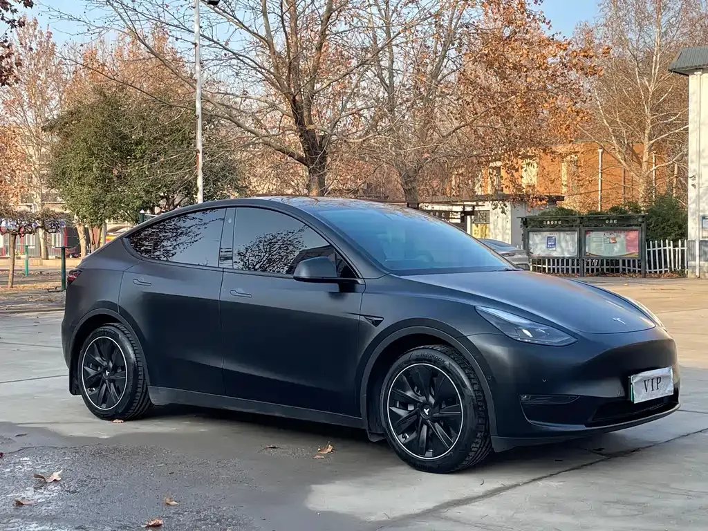 Tesla Model Y — фото 10