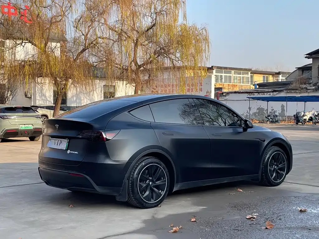 Tesla Model Y — фото 2