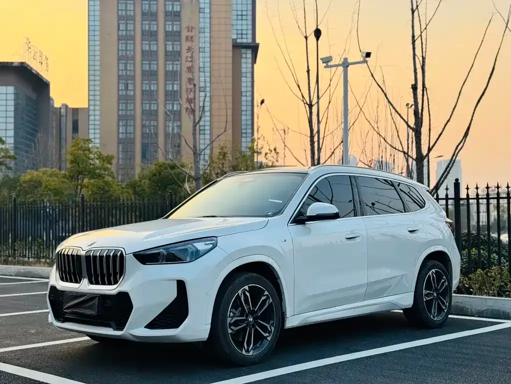 BMW X1 — фото 1