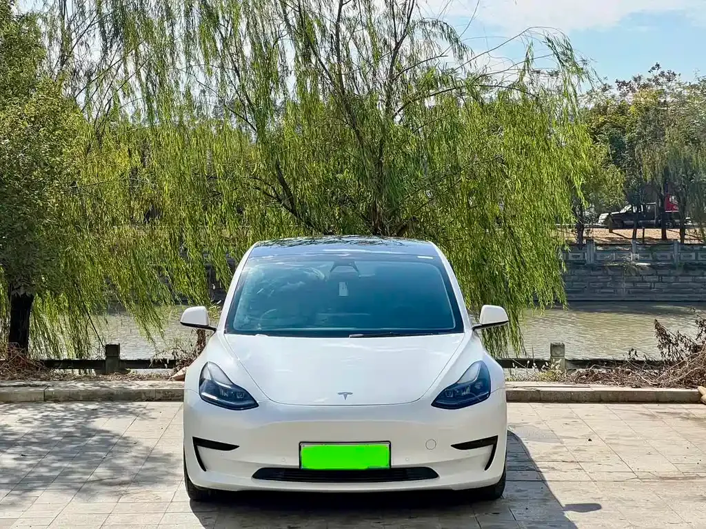 Tesla Model 3 — фото 2