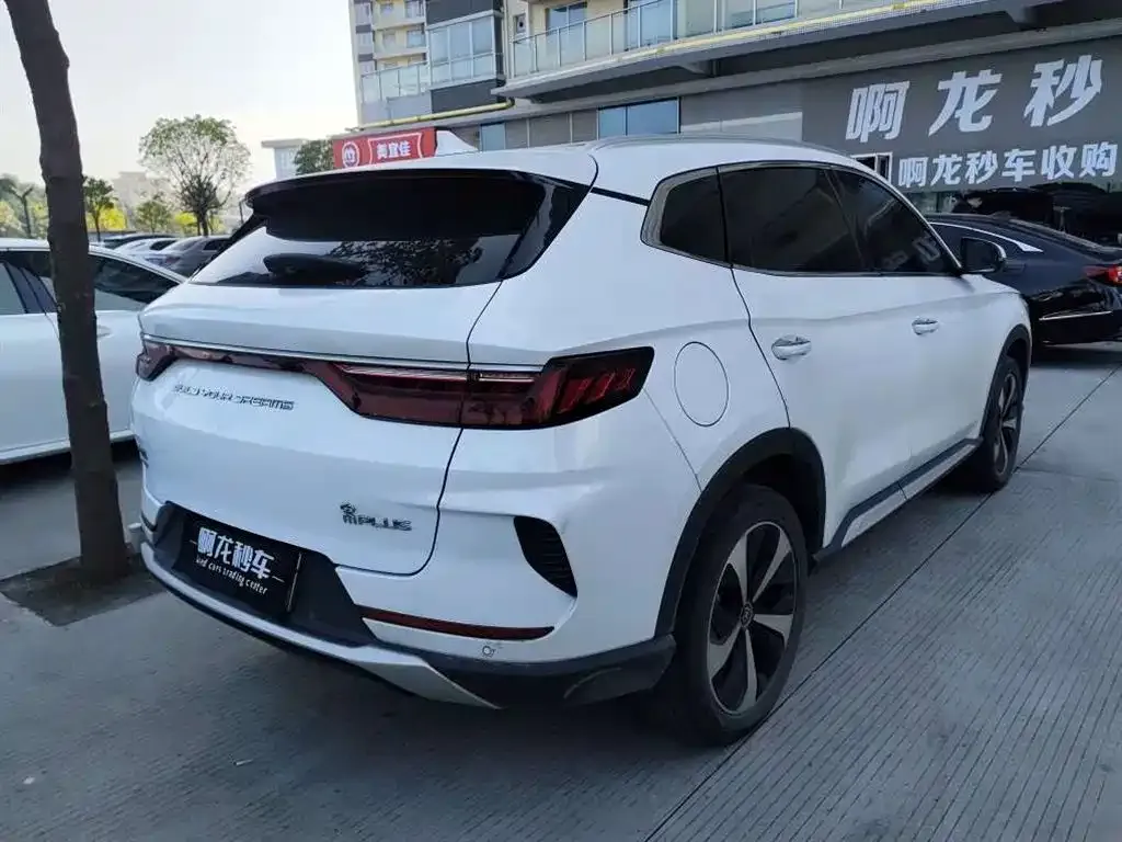 BYD PLUS New Energy — фото 2