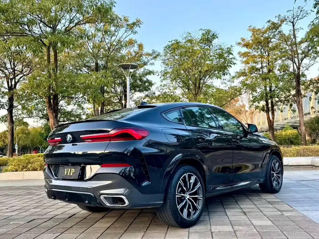 BMW X6 2021 из CN, фото 7