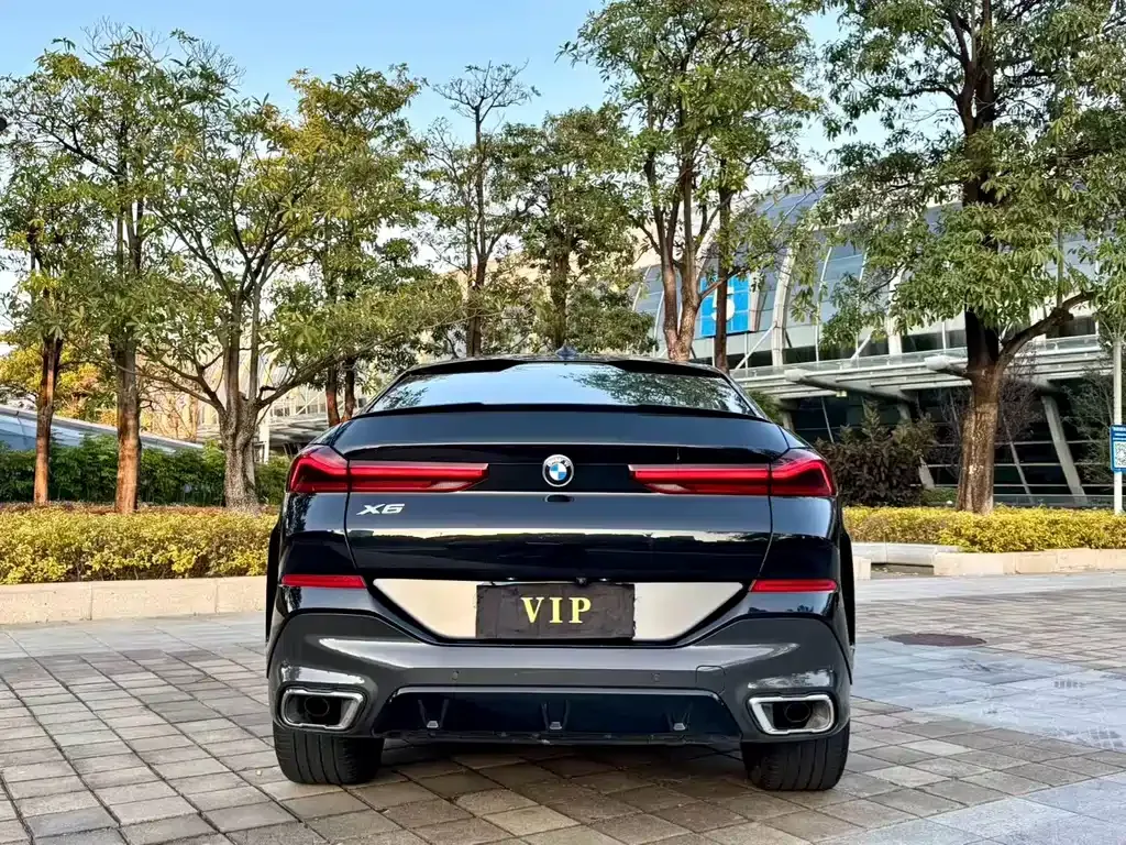 BMW X6 2021 из CN, фото 9