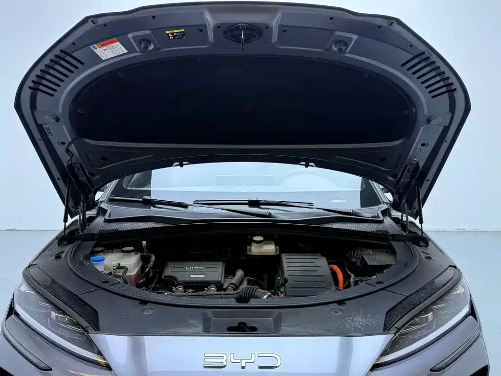 BYD PLUS New Energy 2025 из CN, фото 9