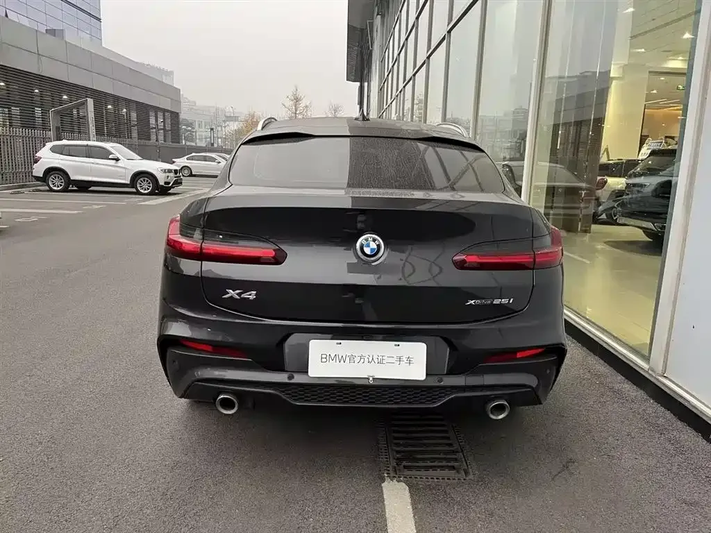 BMW X4 2021 из CN, фото 3