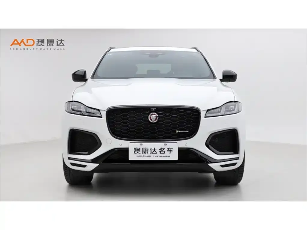 Jaguar F-PACE 2023 из CN, фото 2