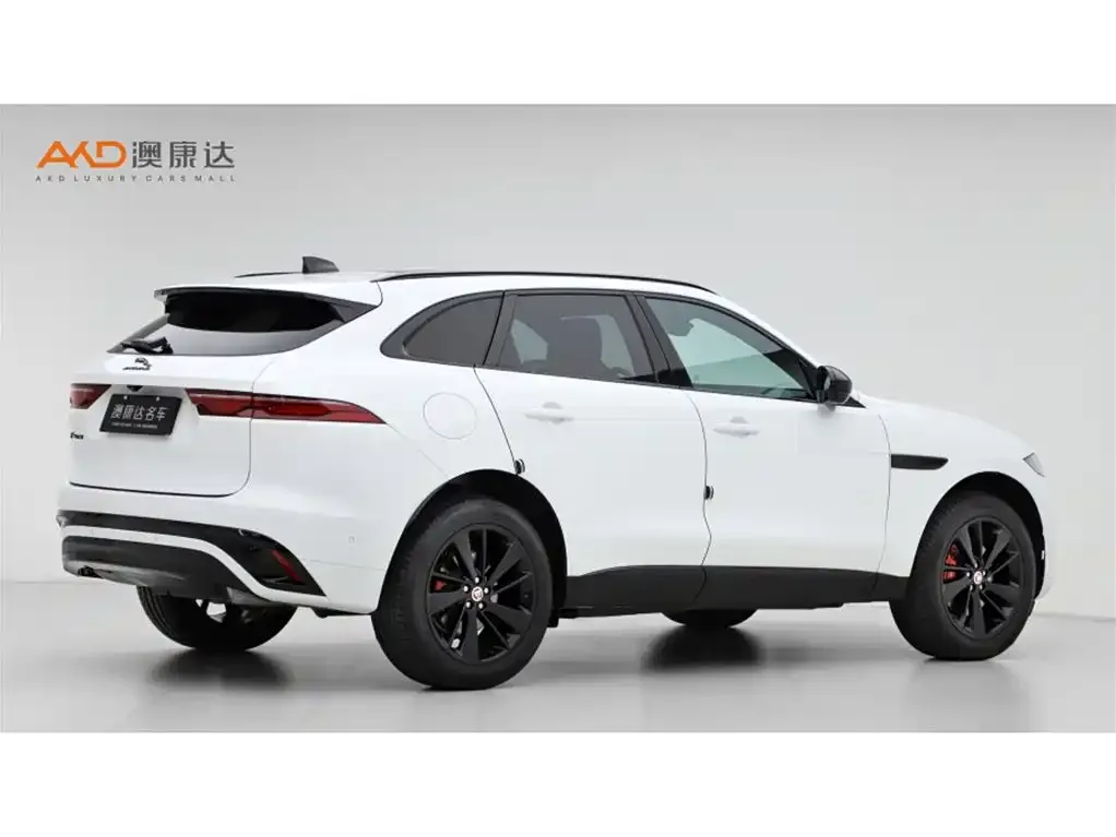 Jaguar F-PACE 2023 из CN, фото 6