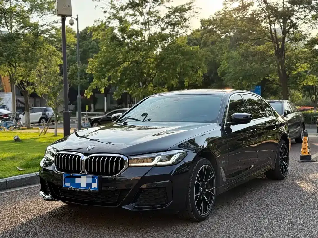BMW 5 Series 2023 из CN, фото 1