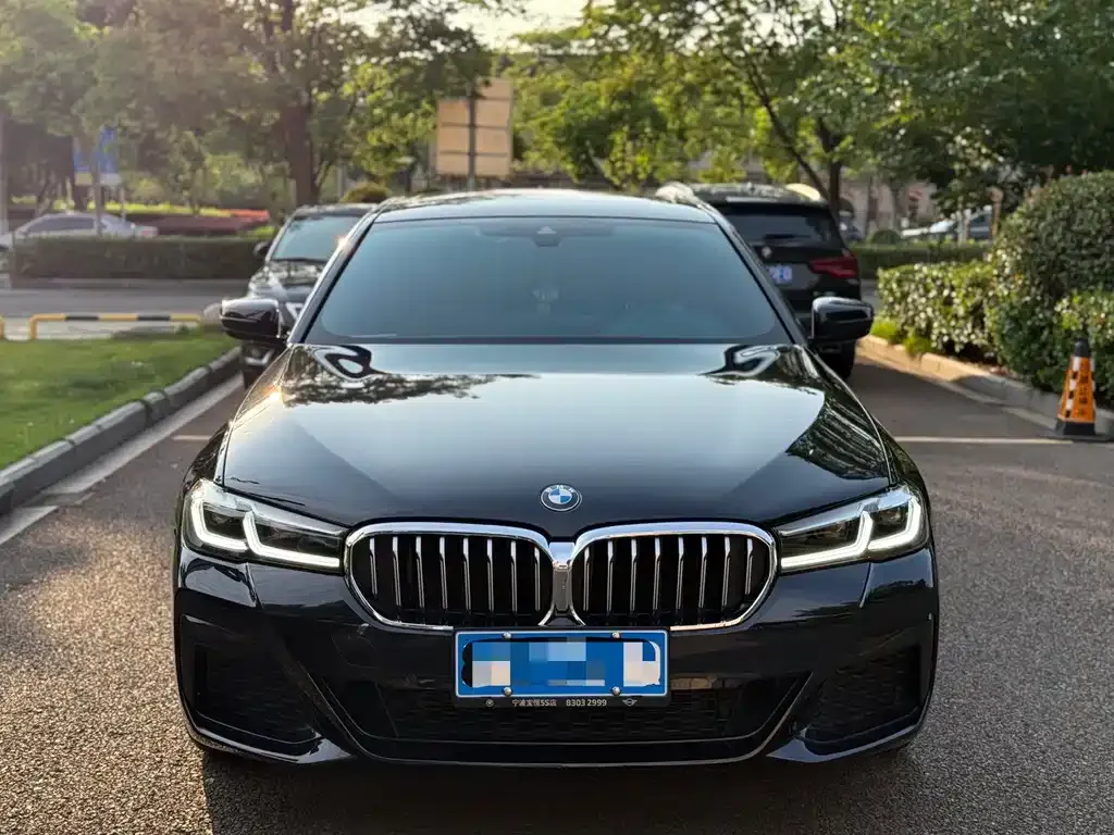 BMW 5 Series 2023 из CN, фото 4
