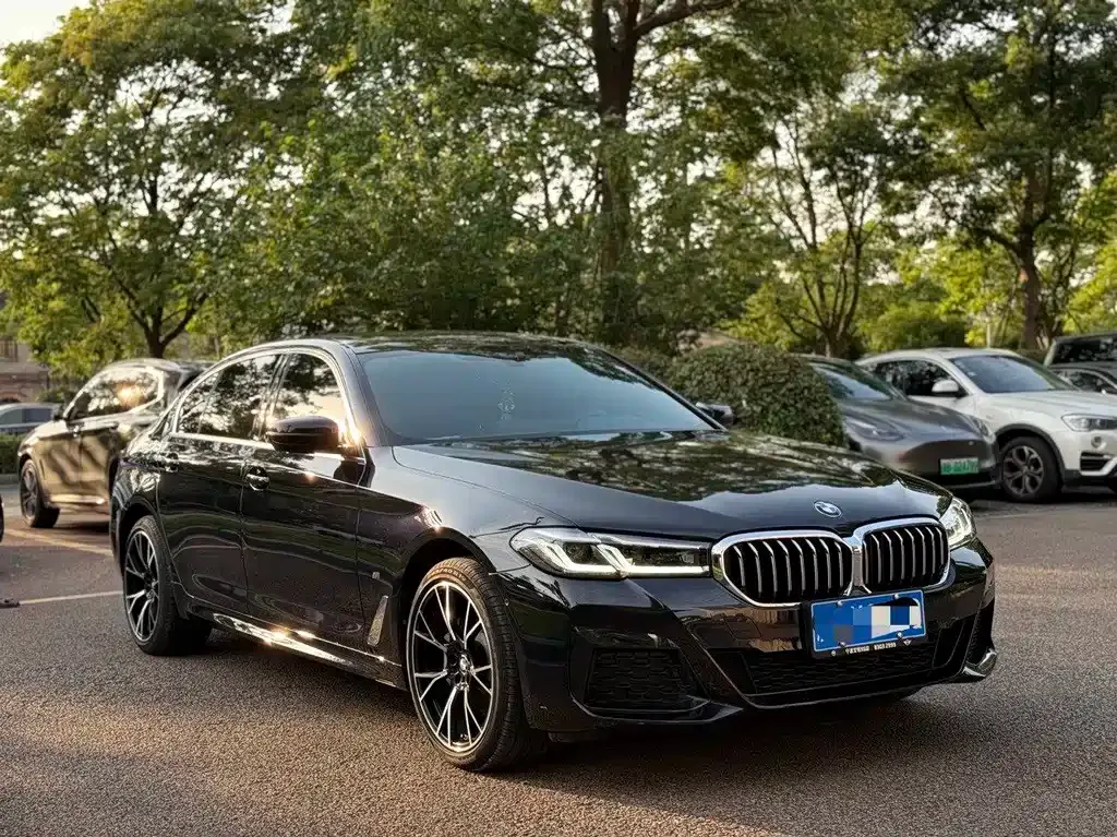 BMW 5 Series 2023 из CN, фото 3