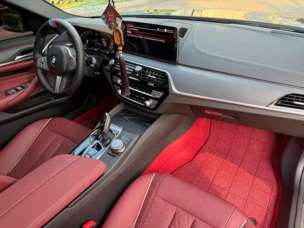 BMW 5 Series 2023 из CN, фото 7