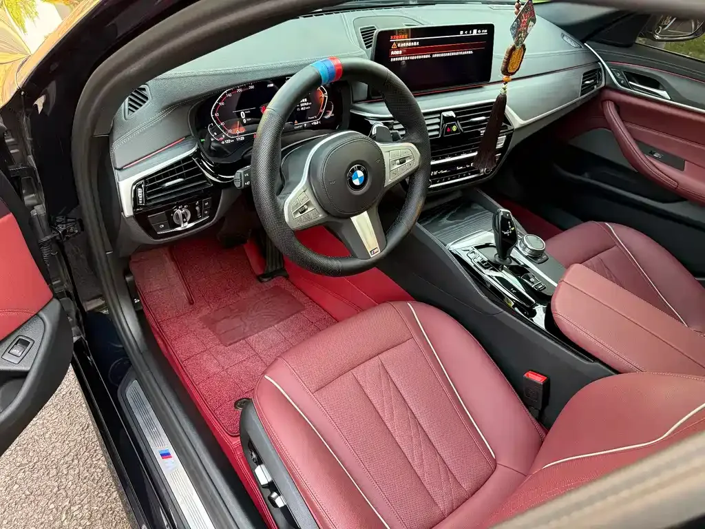 BMW 5 Series 2023 из CN, фото 9