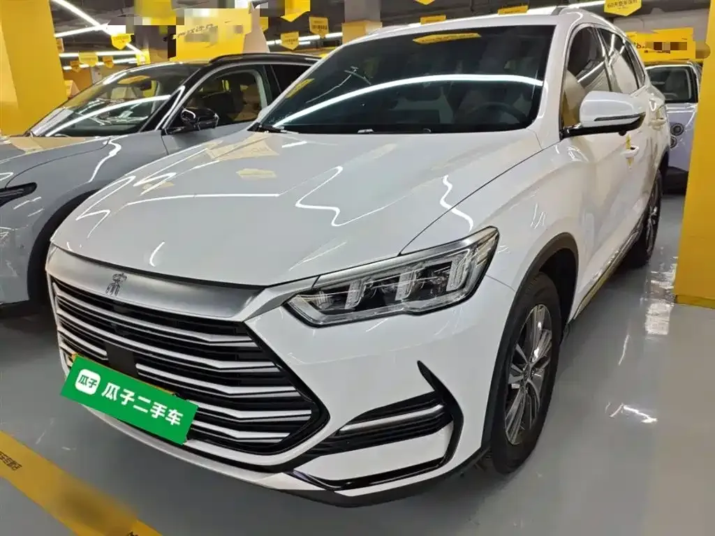 BYD Pro New Energy 2023 из CN, фото 1