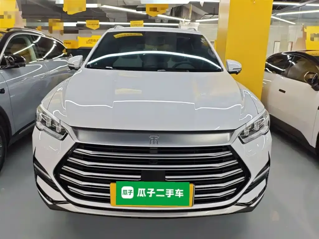 BYD Pro New Energy 2023 из CN, фото 6