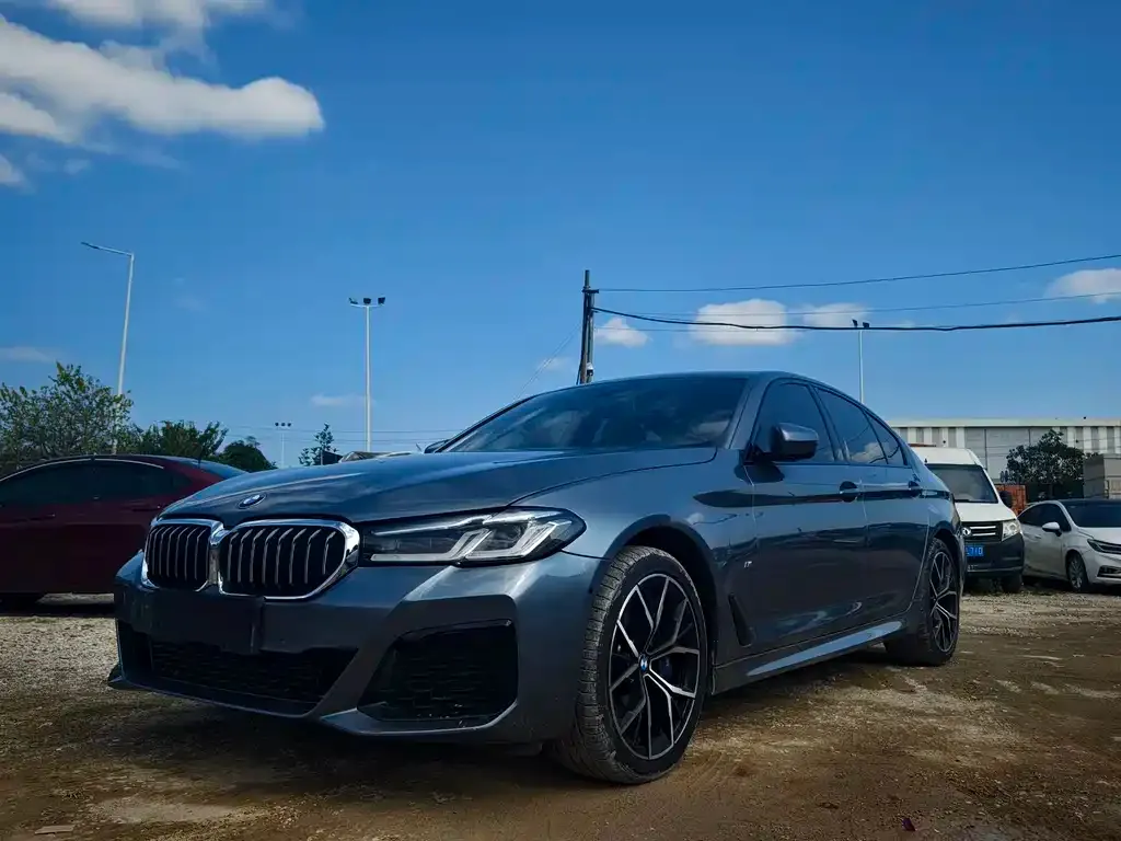 BMW 5 Series (Import) 2022 из CN, фото 1