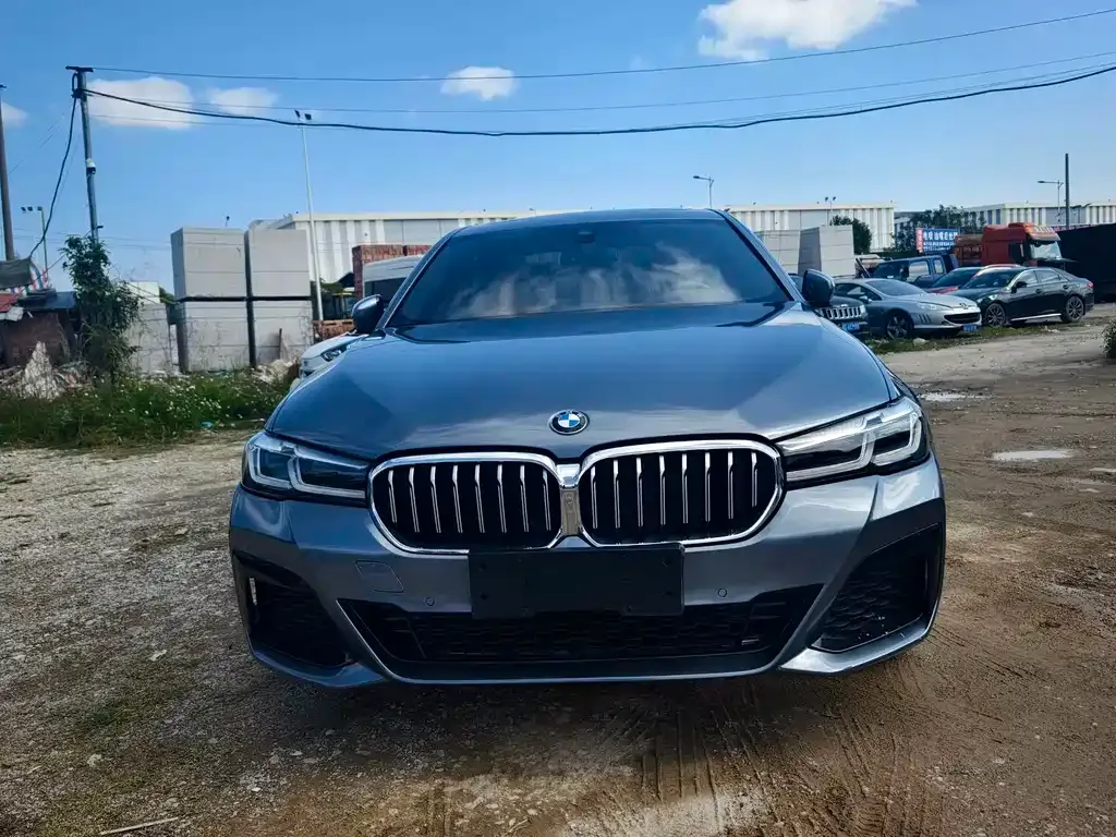 BMW 5 Series (Import) 2022 из CN, фото 5