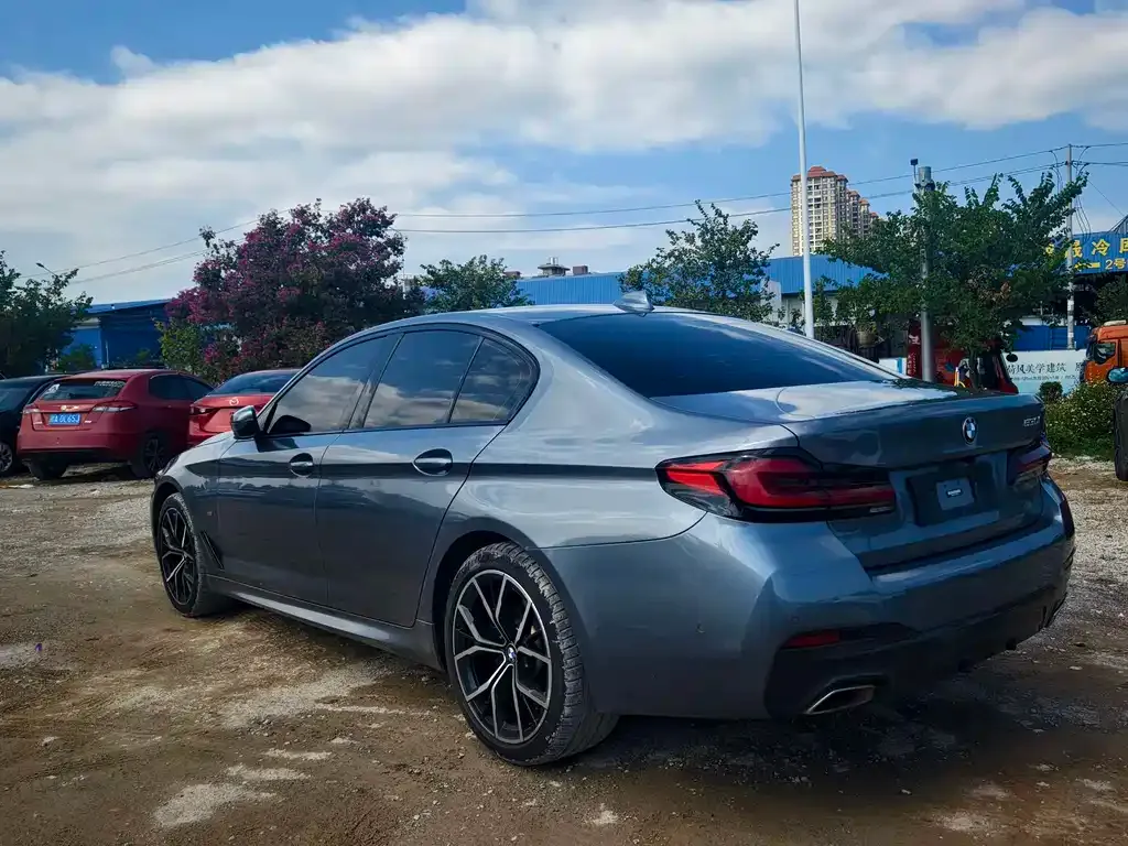 BMW 5 Series (Import) 2022 из CN, фото 4
