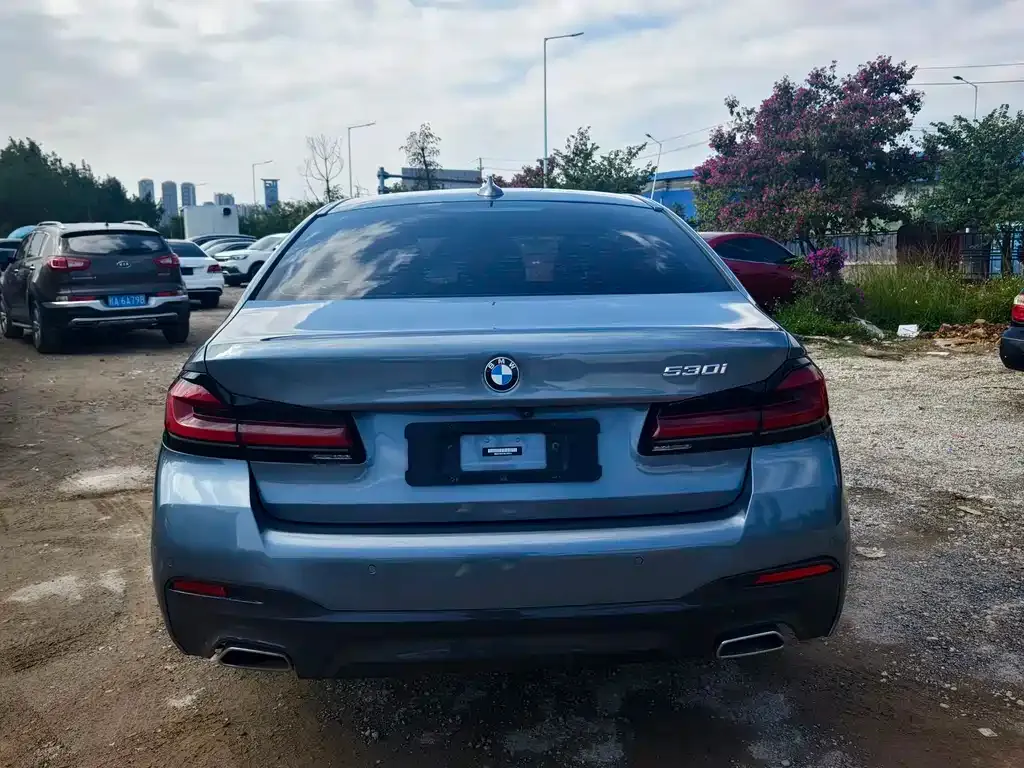 BMW 5 Series (Import) 2022 из CN, фото 9