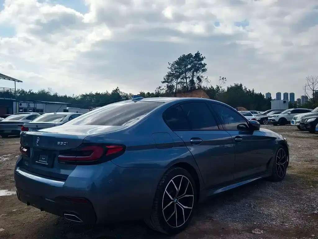 BMW 5 Series (Import) 2022 из CN, фото 7