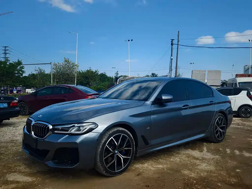 BMW 5 Series (Import) 2022 из CN, фото 10