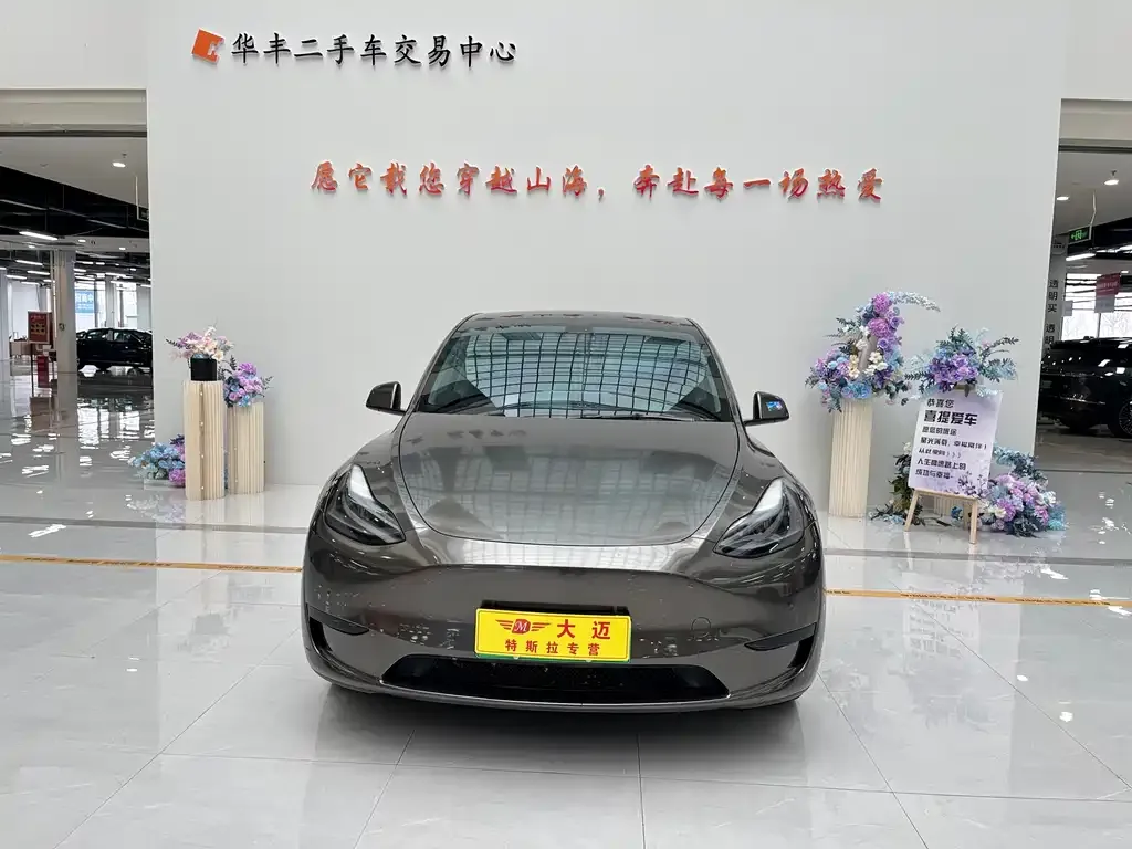Tesla Model Y — фото 9
