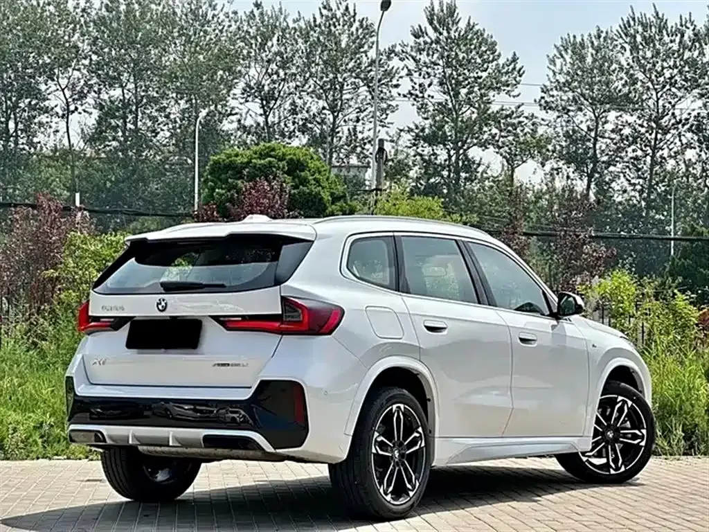 BMW X1 2023 из CN, фото 9