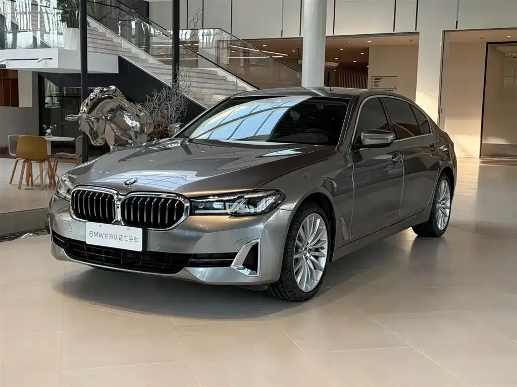 BMW 5 Series 2022 из CN, фото 1