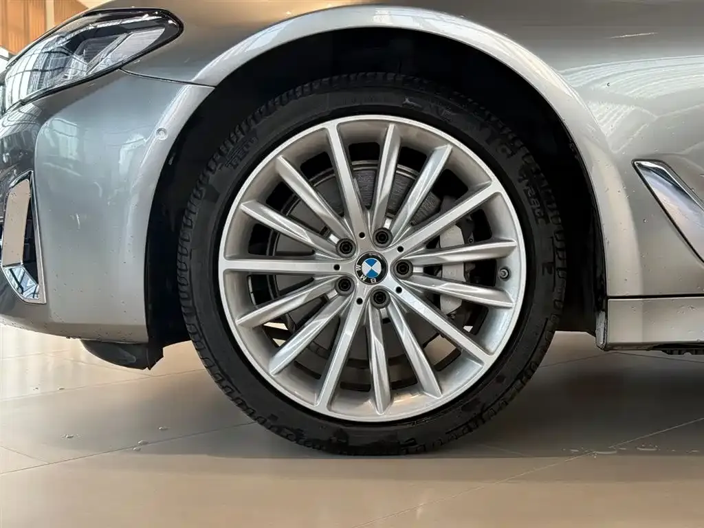 BMW 5 Series 2022 из CN, фото 4