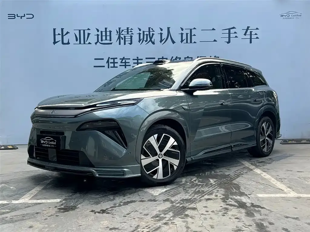 BYD Tang L 2025 из CN, фото 1