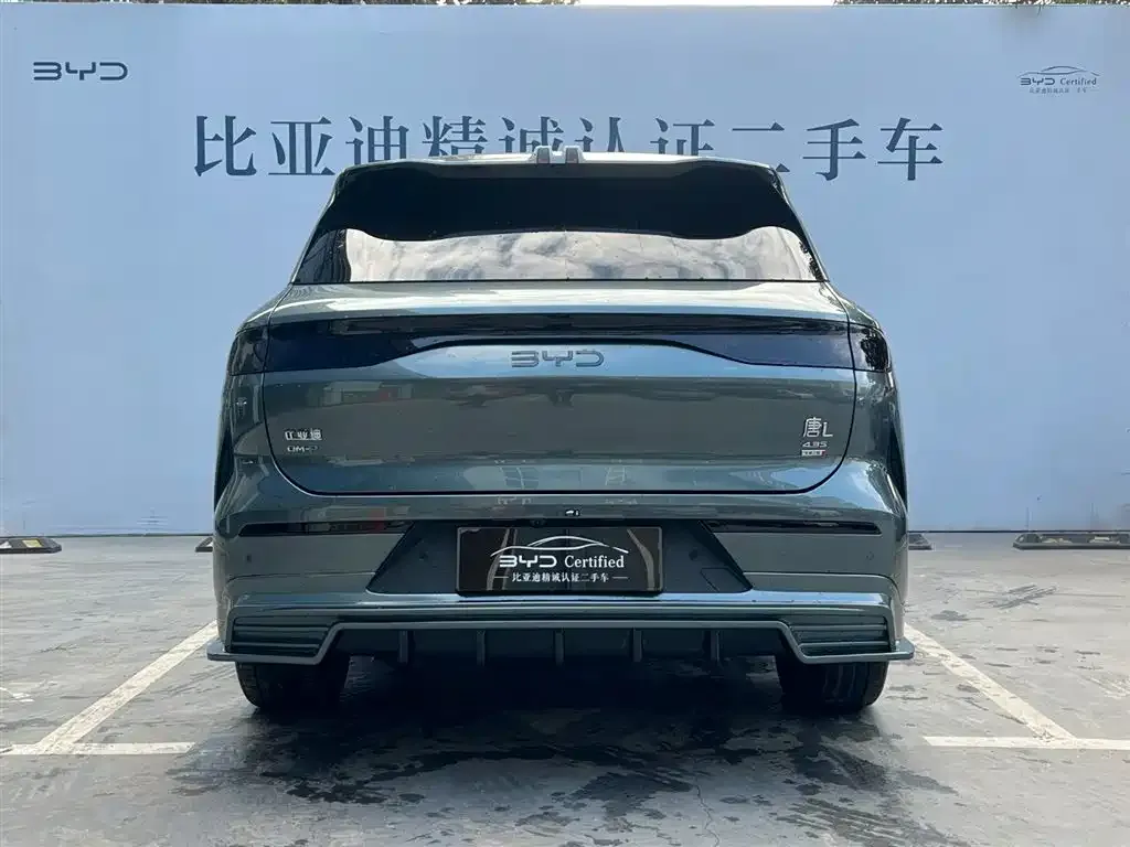 BYD Tang L 2025 из CN, фото 6
