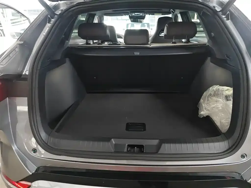 BYD PLUS New Energy 2024 из CN, фото 8