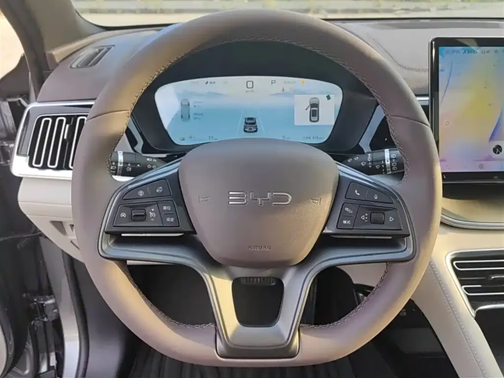 BYD PLUS New Energy 2024 из CN, фото 5