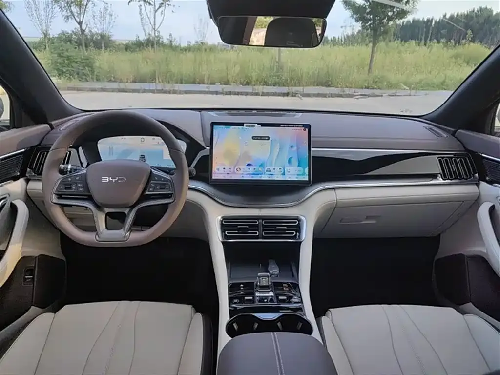 BYD PLUS New Energy 2024 из CN, фото 9