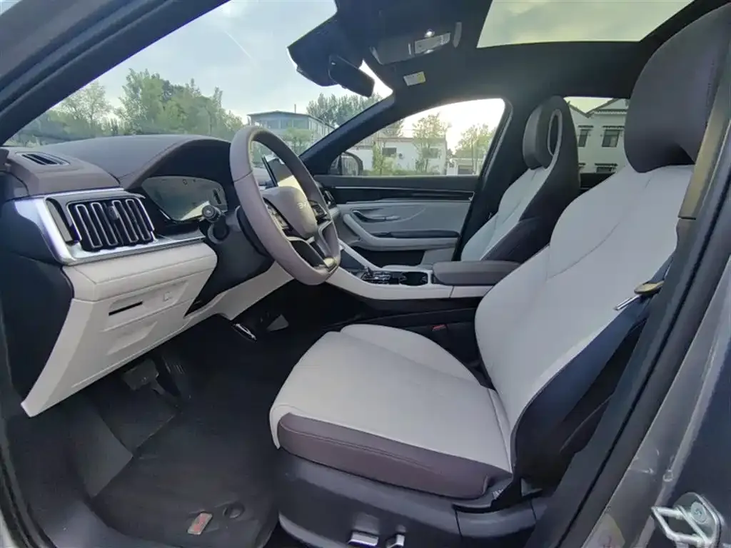 BYD PLUS New Energy 2024 из CN, фото 6