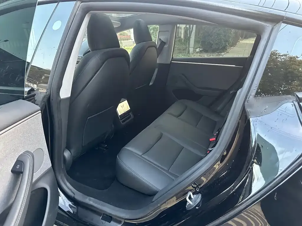 Tesla Model 3 2025 из CN, фото 3