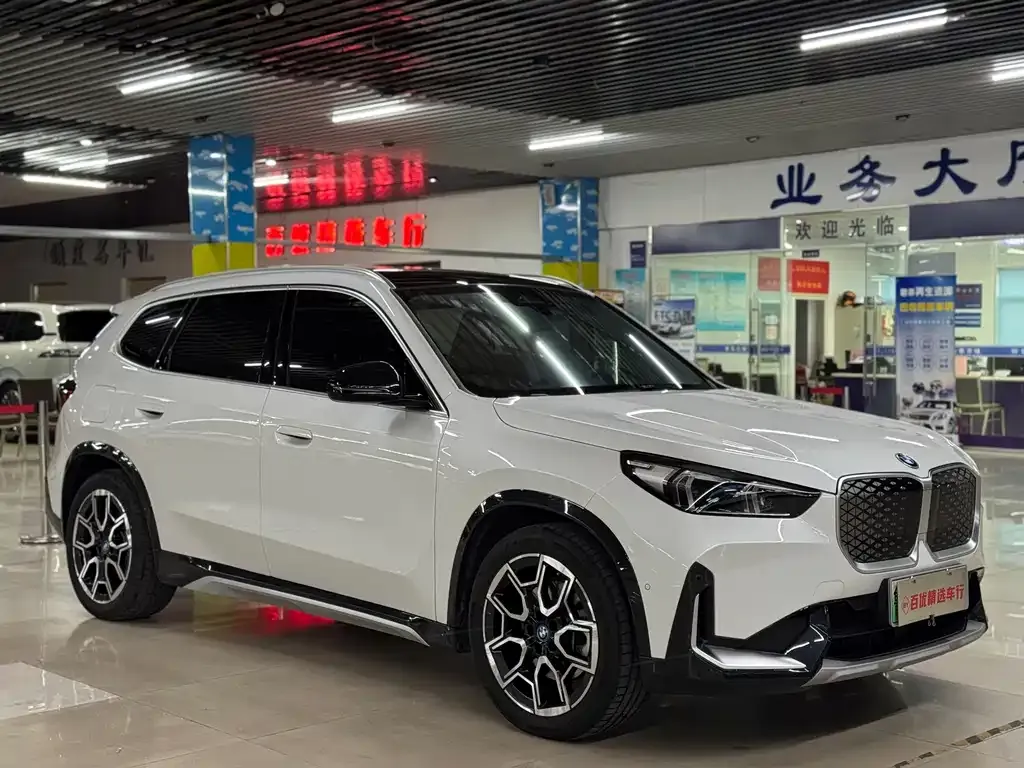 [object Object] iX1 2024 из CN, фото 3