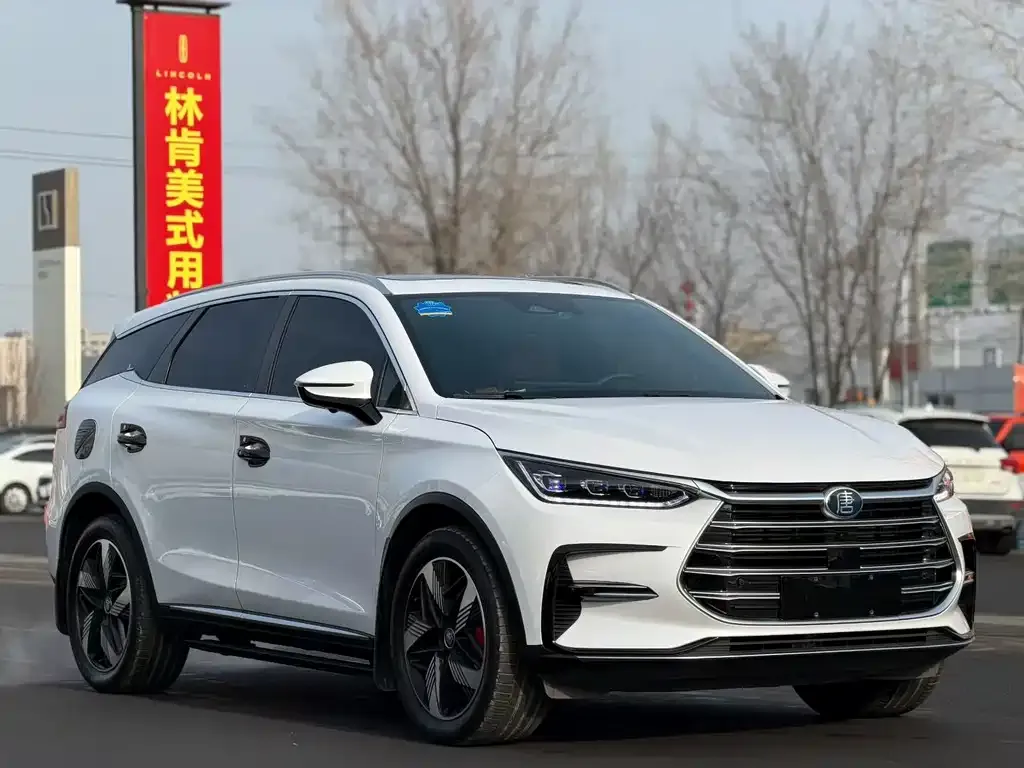 BYD Tang New Energy — фото 1