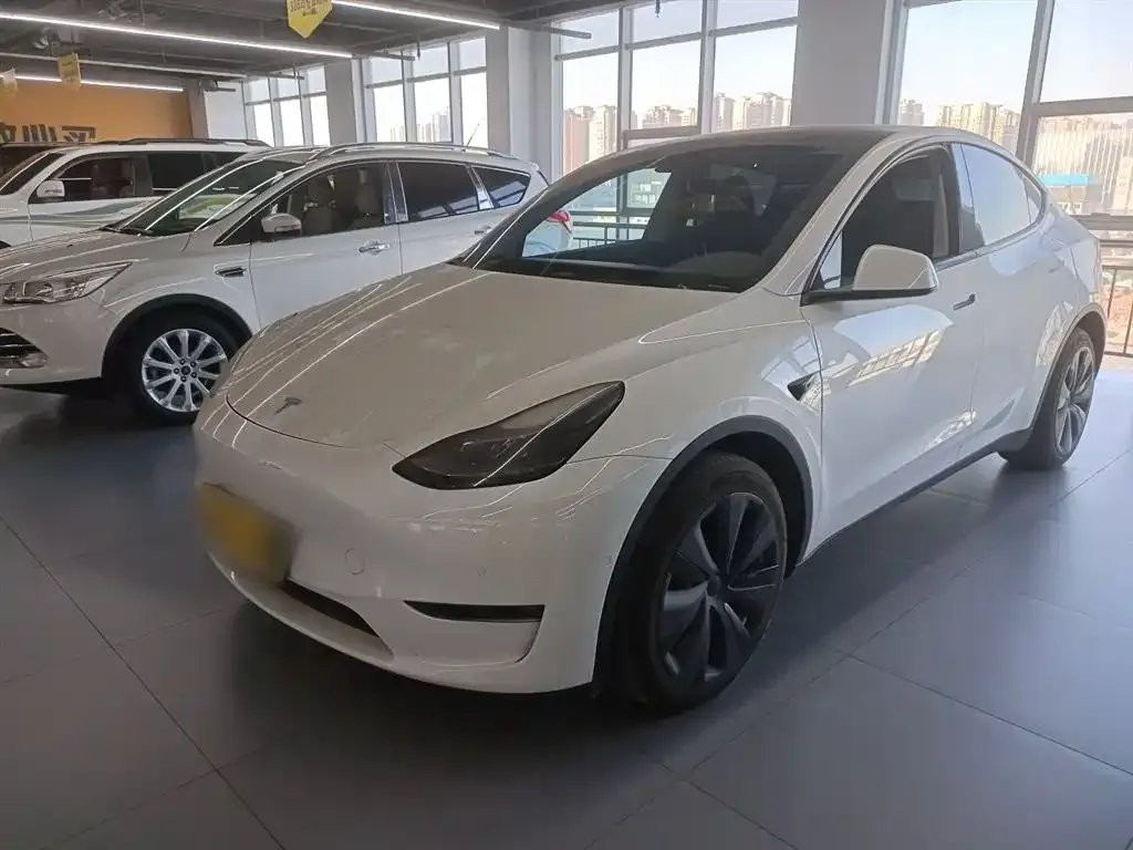Tesla Model Y — фото 1
