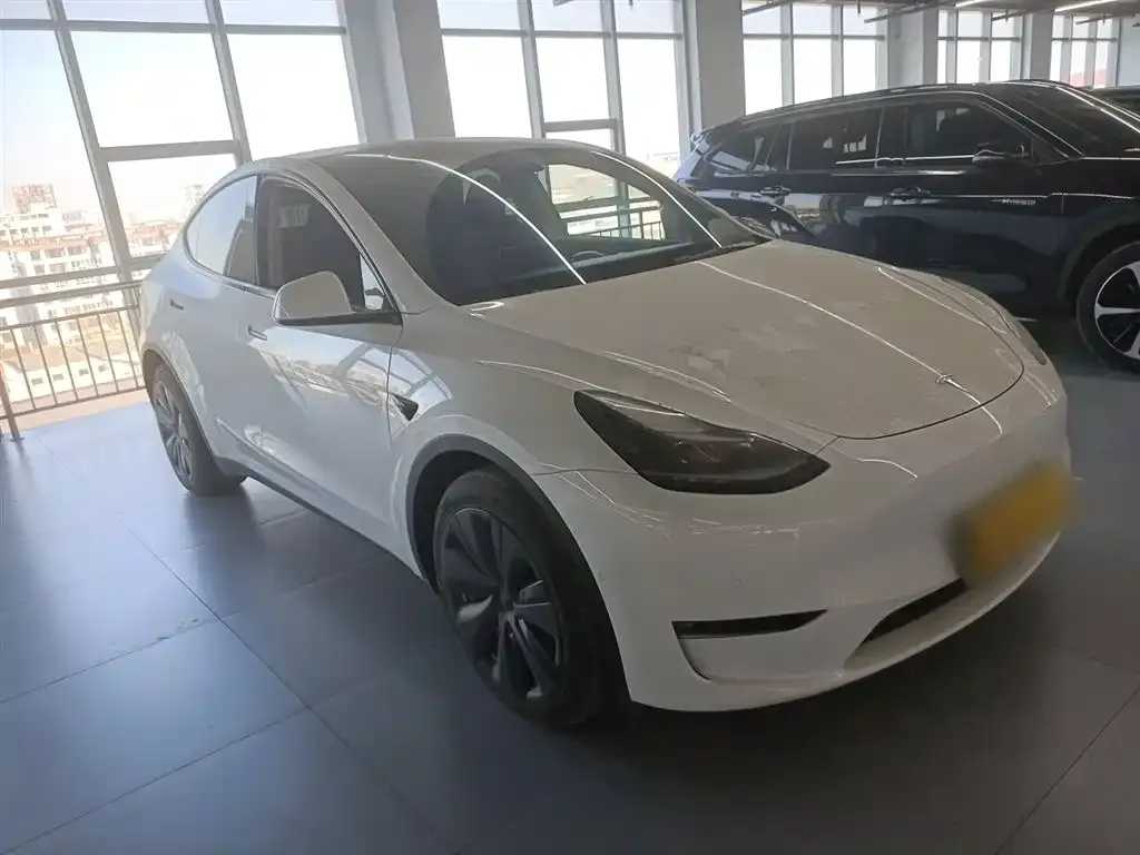 Tesla Model Y — фото 2