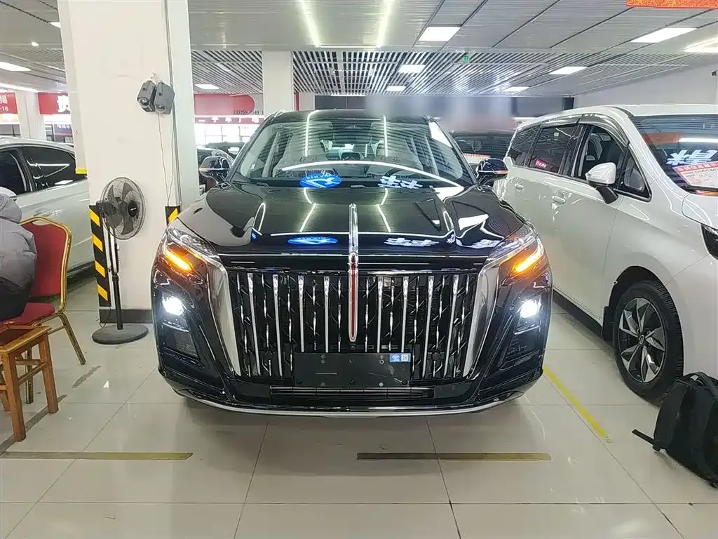 Hongqi HS3 PHEV 2025 из CN, фото 3