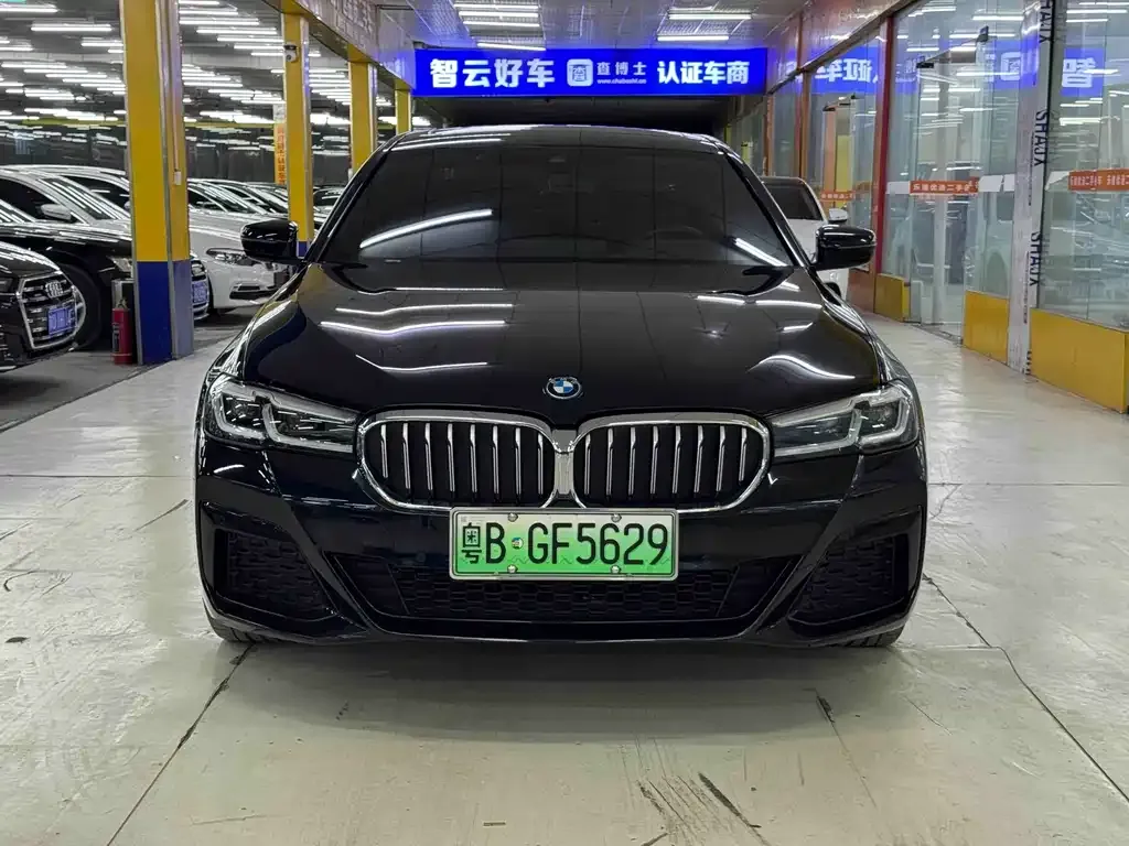 BMW 5 Series New Energy — фото 2