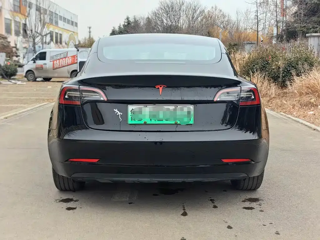 Tesla Model 3 2023 из CN, фото 4