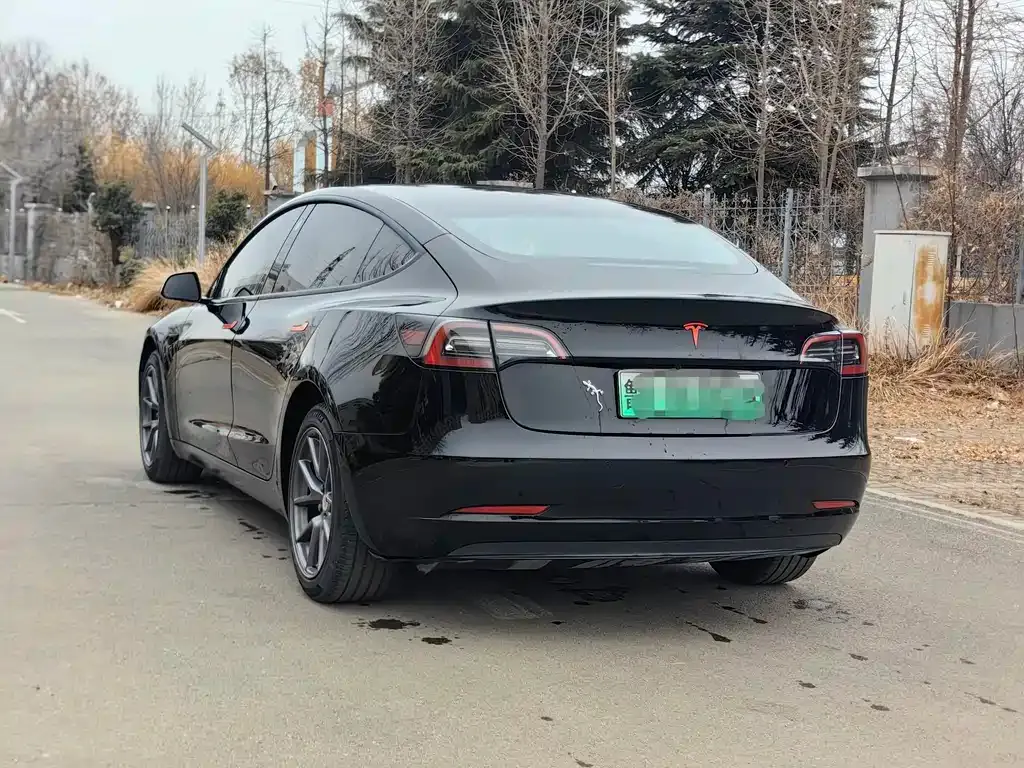 Tesla Model 3 2023 из CN, фото 2