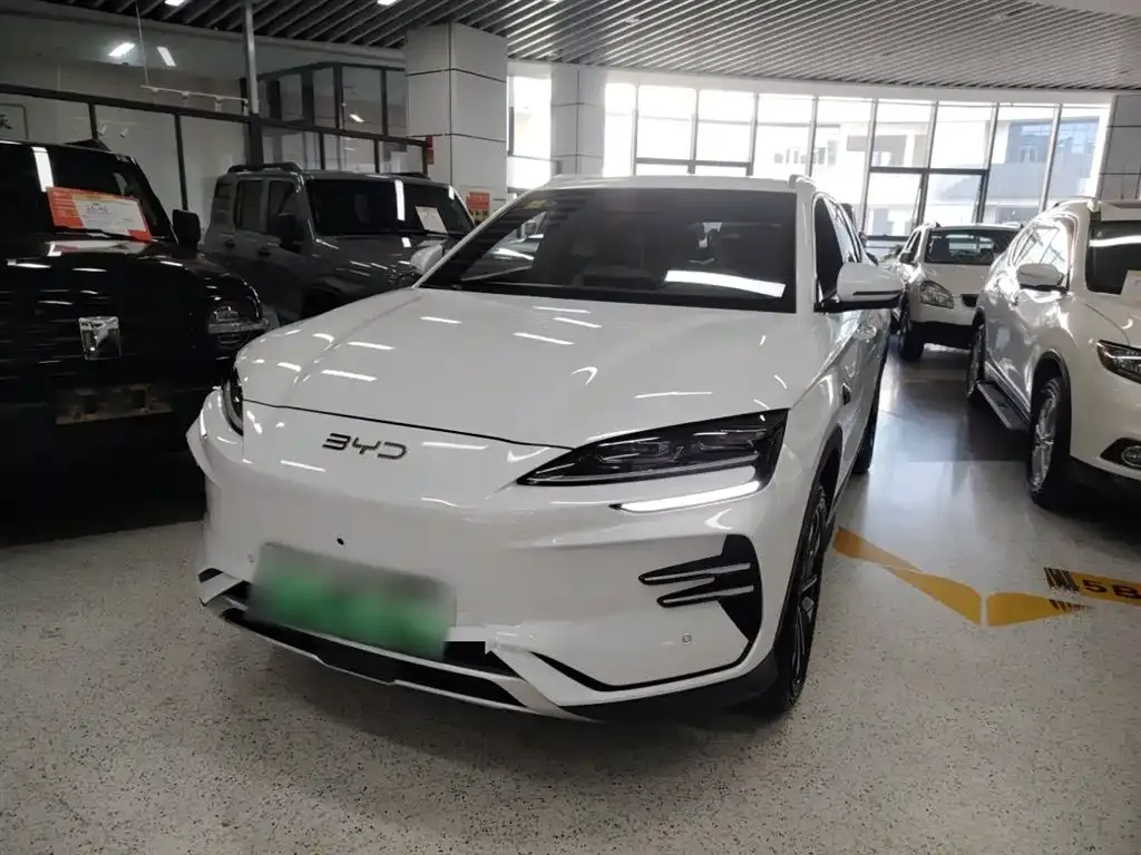 BYD PLUS New Energy — фото 1