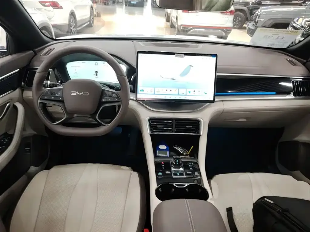BYD PLUS New Energy — фото 10
