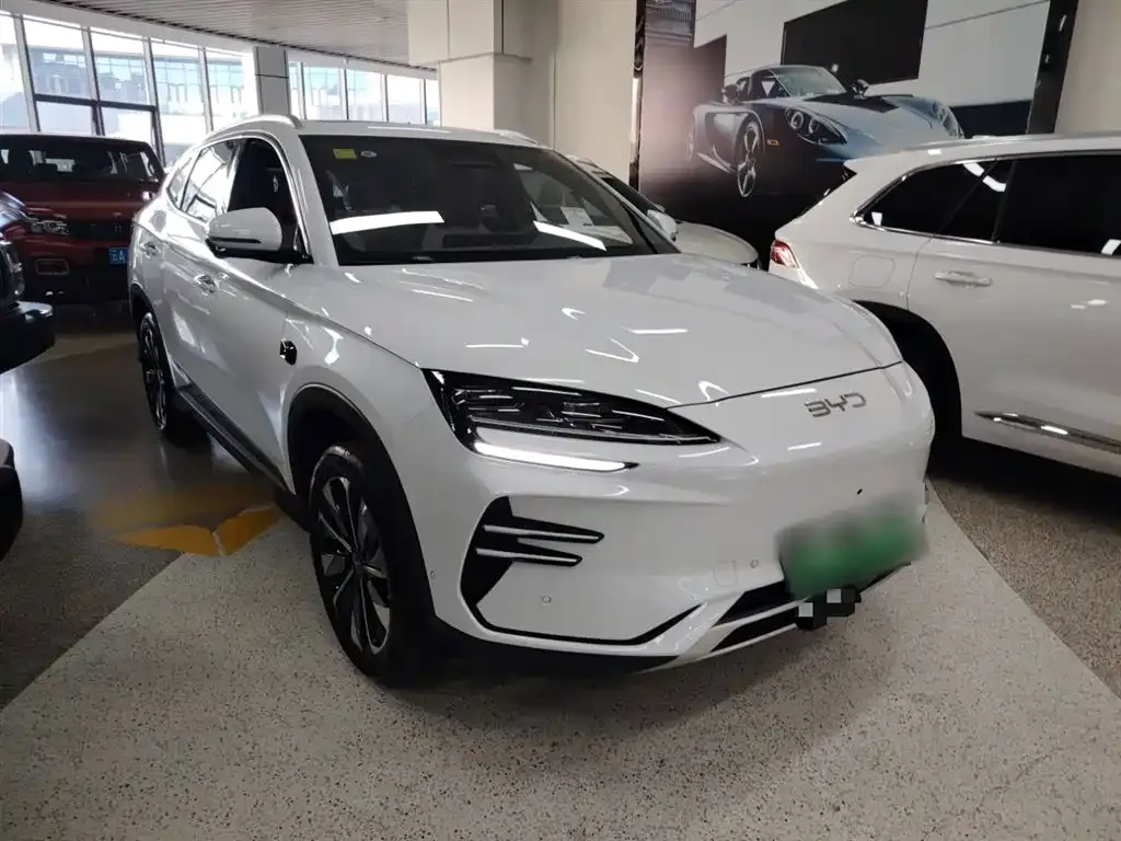 BYD PLUS New Energy — фото 4