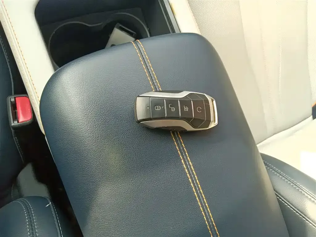 BYD PLUS New Energy 2022 из CN, фото 9