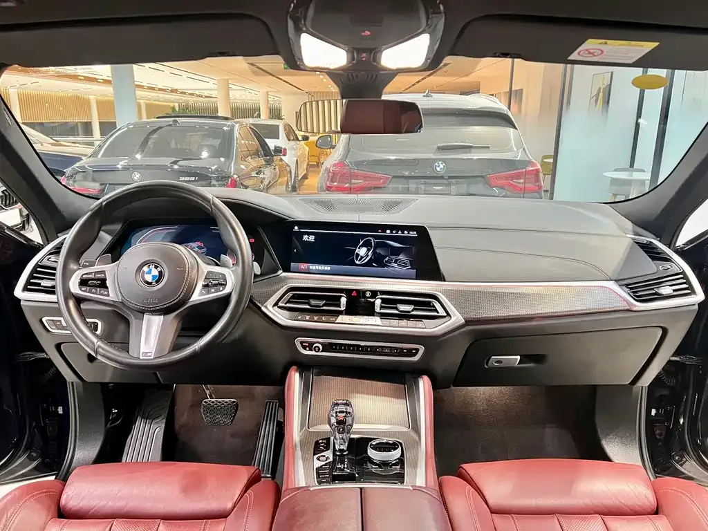 BMW X6 2023 из CN, фото 6