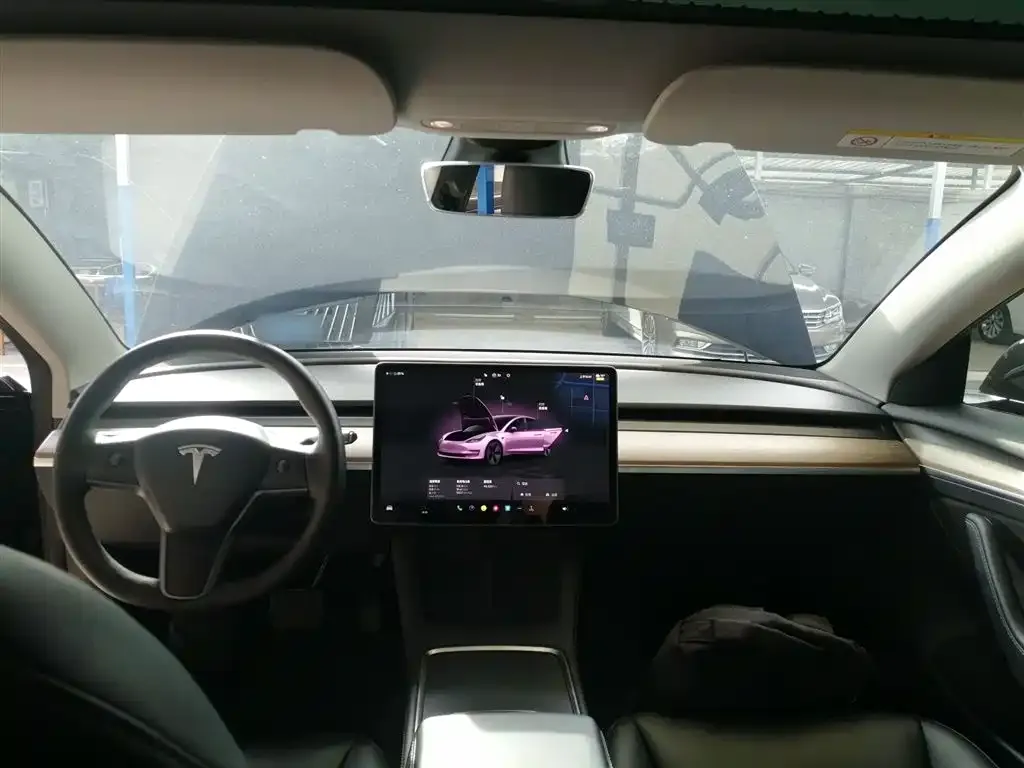 Tesla Model 3 2023 из CN, фото 2